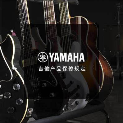 吉他、贝斯和音箱
